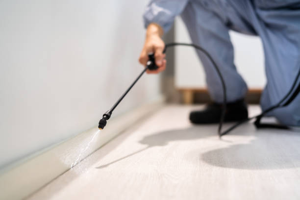 Licensed Pest Control service in Doylestown, OH - Show Me Pest Control