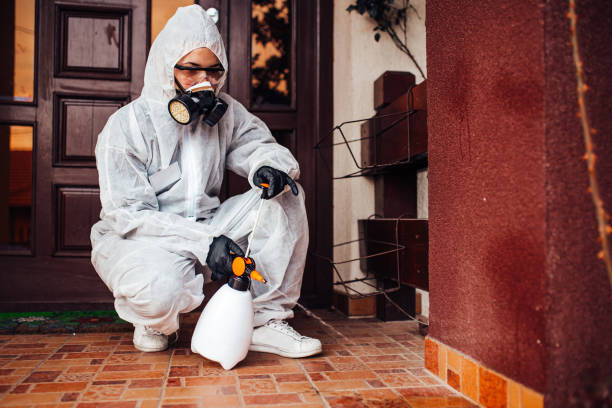 Reliable Wasp Removal contractor in Doylestown, OH by Show Me Pest Control