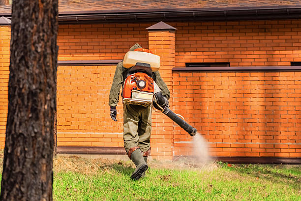 Top rated local Wasp Removal specialists in Doylestown, OH